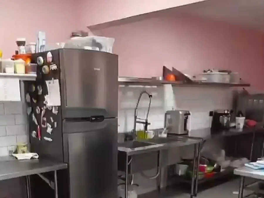 Cozinha da Lins em uso, com geladeira, bancadas de inox, prateleiras aéreas e parede rosa.